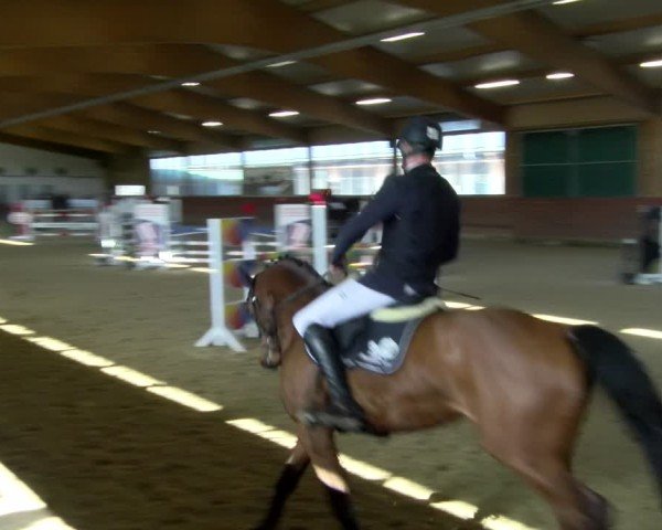 Reitturnier Coesfeld / Lette 2025