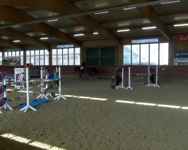 Reitturnier Coesfeld / Lette 2025