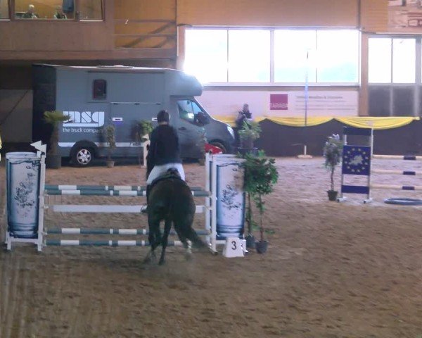 Reitturnier Boll 2025