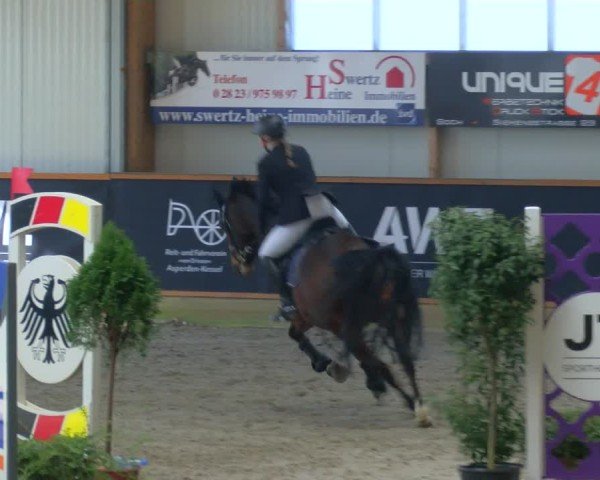 Reitturnier Asperden 2025
