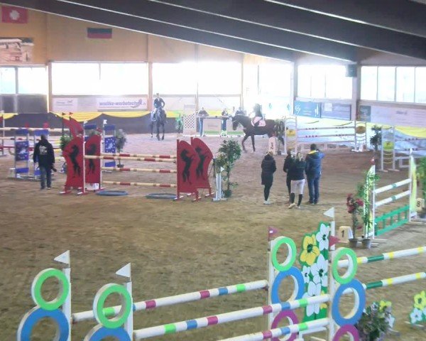 Reitturnier Boll 2025