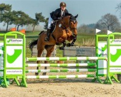 broodmare Bel Etage's Immobiliengirl (Holsteiner, 2009, from Clearway)