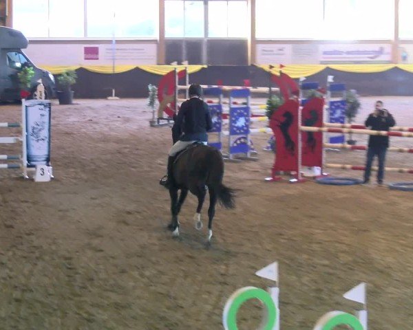 Reitturnier Boll 2025