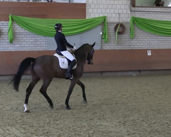 Reitturnier Hellefeld 2025