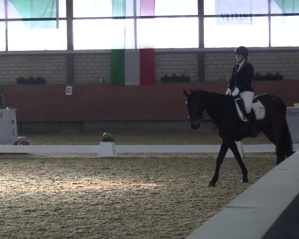 Reitturnier Hellefeld 2025