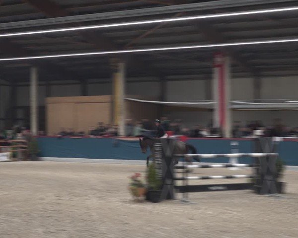 Reitturnier Oberriet 2025