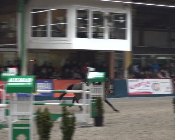 Reitturnier Oberriet 2025