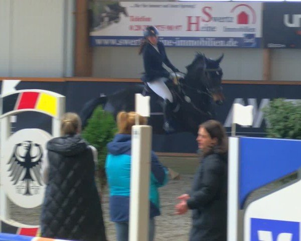 Reitturnier Asperden 2025