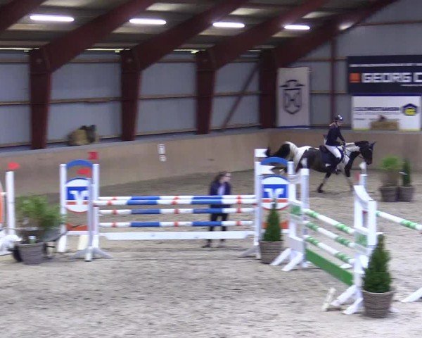 Reitturnier Behrendorf 2025