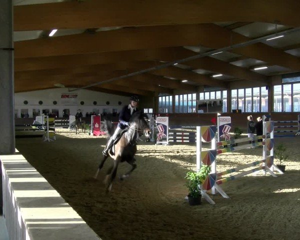 Reitturnier Coesfeld / Lette 2025