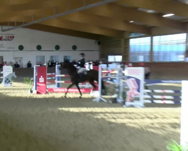 Reitturnier Coesfeld / Lette 2025