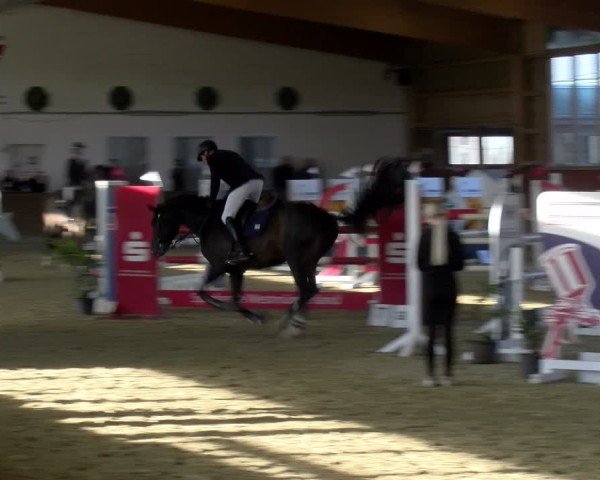 Reitturnier Coesfeld / Lette 2025