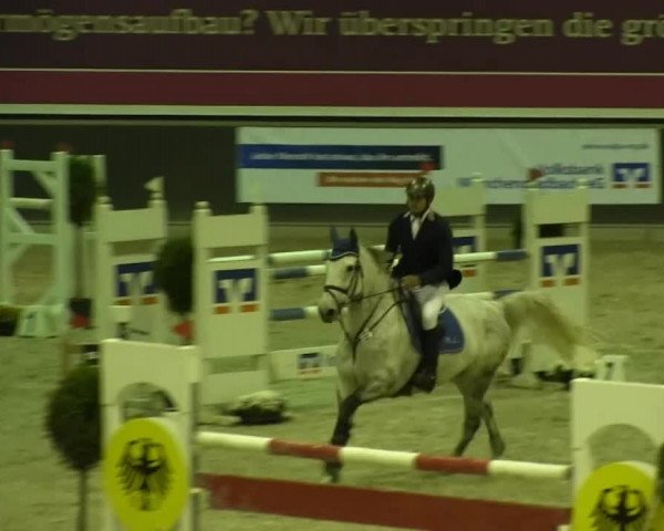 Springturnier auf dem Abtshof 2013