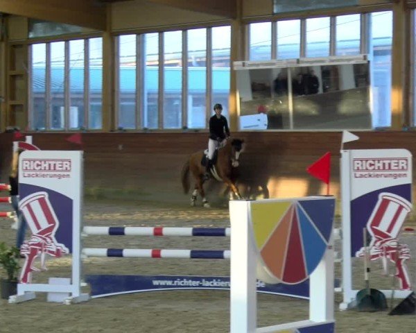 Reitturnier Coesfeld / Lette 2025