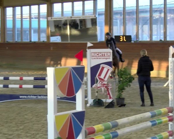 Reitturnier Coesfeld / Lette 2025