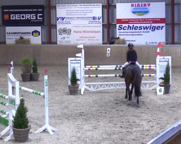 Reitturnier Behrendorf 2025