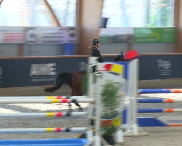 Reitturnier Asperden 2025