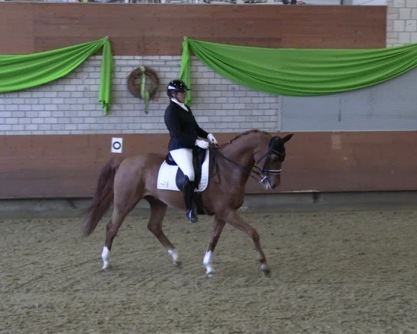 Reitturnier Hellefeld 2025