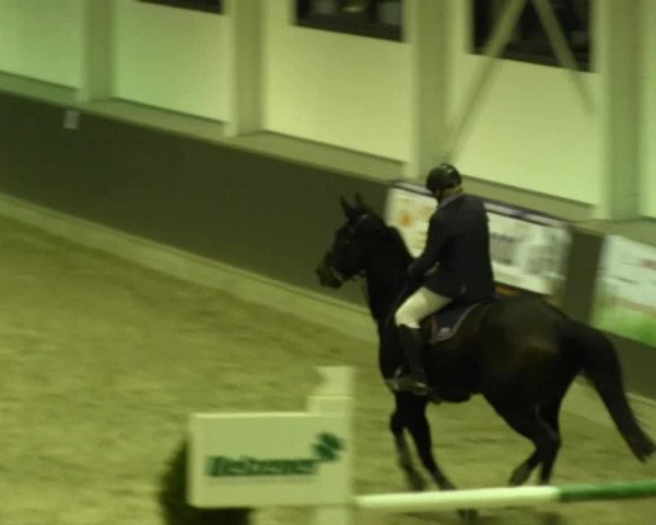 Reitturnier Mönchengladbach-Abtshof 2013