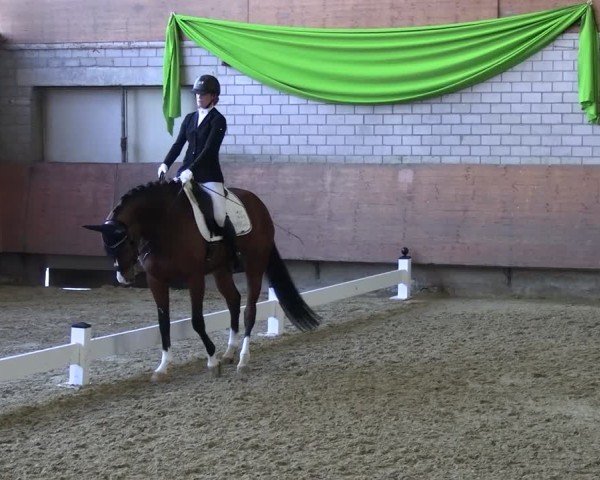 Reitturnier Hellefeld 2025
