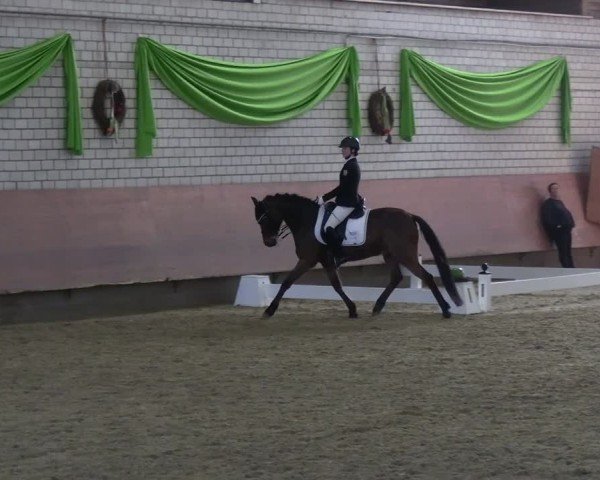 Reitturnier Hellefeld 2025