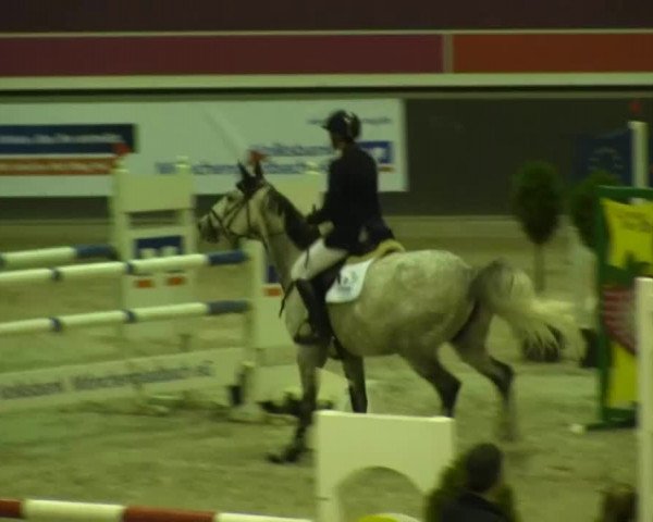 Springturnier auf dem Abtshof 2013