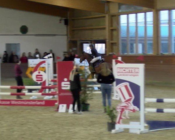 Reitturnier Coesfeld / Lette 2025