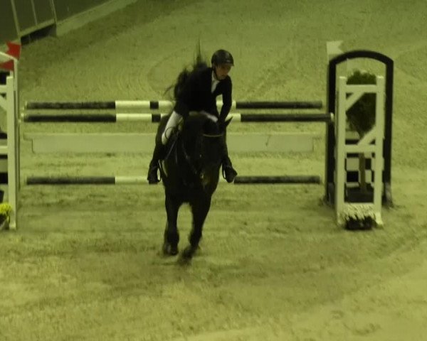 Reitturnier Mönchengladbach-Abtshof 2013
