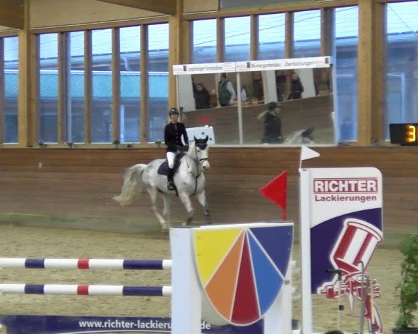 Reitturnier Coesfeld / Lette 2025