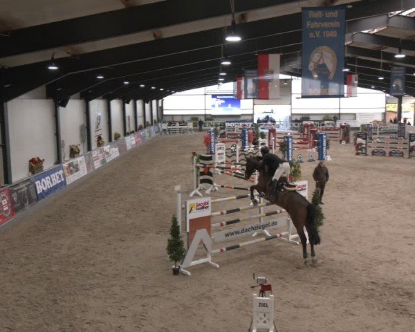Reitturnier Borken (Hessen) 2025