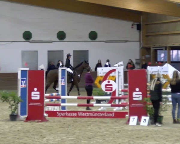 Reitturnier Coesfeld / Lette 2025