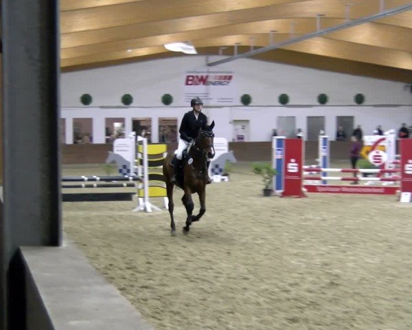 Reitturnier Coesfeld / Lette 2025