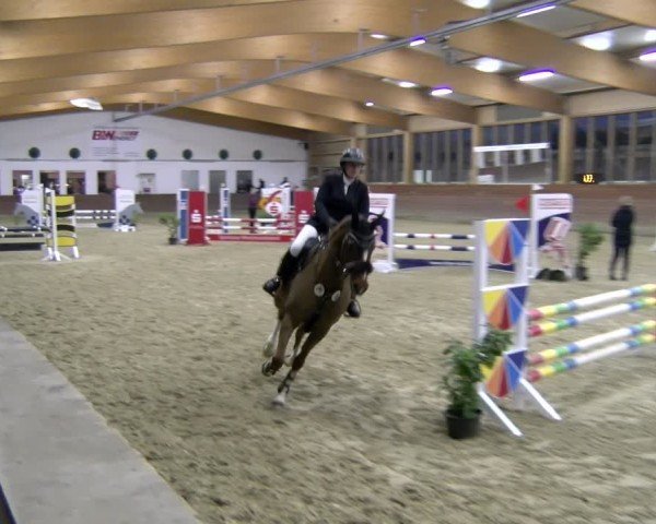Reitturnier Coesfeld / Lette 2025