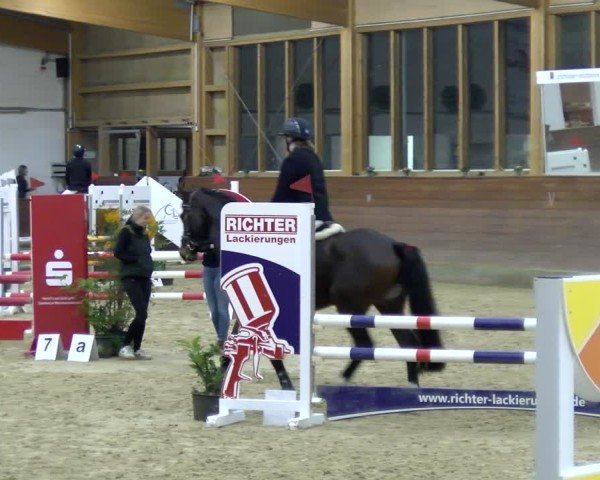 Reitturnier Coesfeld / Lette 2025