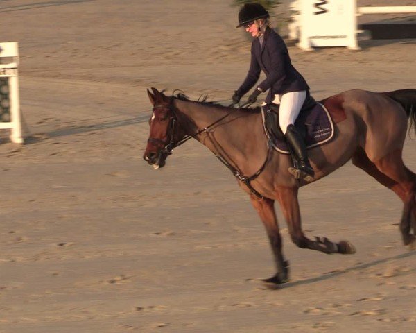 Reitturnier Scharnebeck 2025