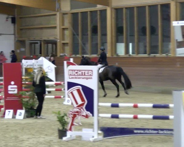 Reitturnier Coesfeld / Lette 2025