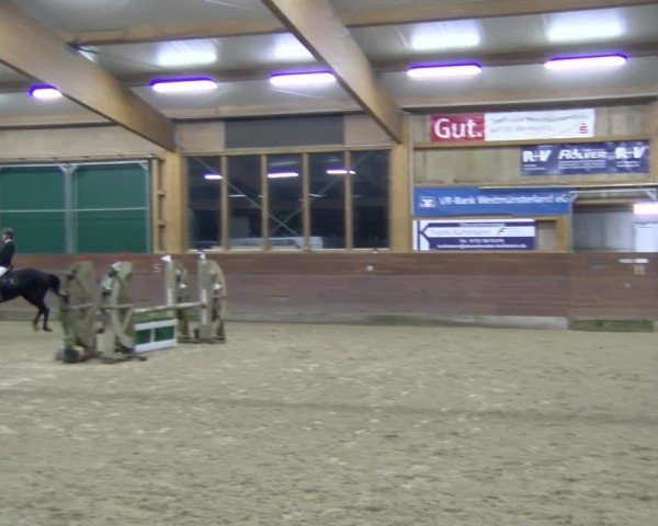 Reitturnier Coesfeld / Lette 2025