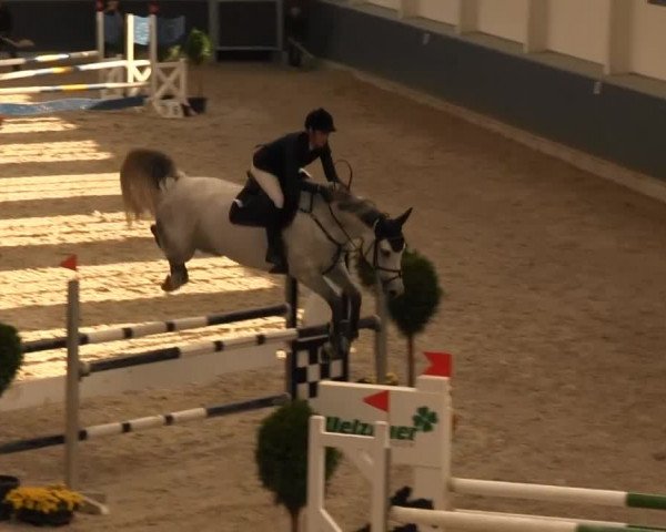 Reitturnier Mönchengladbach-Abtshof 2013