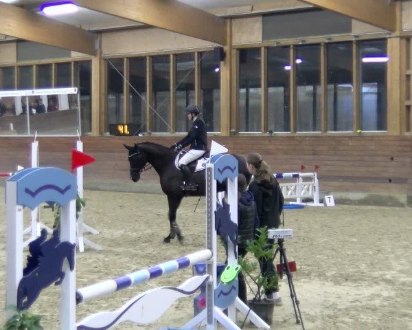 Reitturnier Coesfeld / Lette 2025