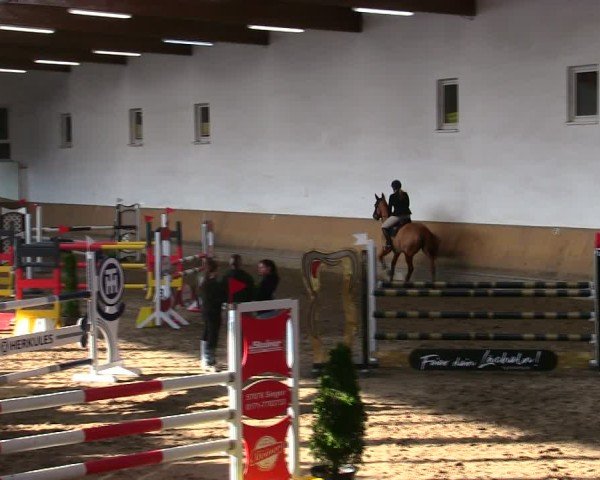 Reitturnier Freudenberg 2025