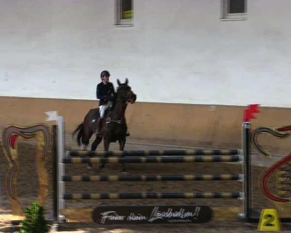 Reitturnier Freudenberg 2025