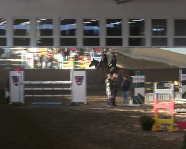 Reitturnier Freudenberg 2025