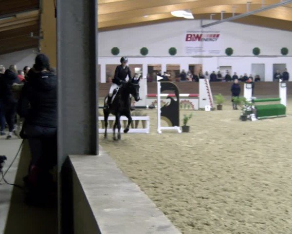 Reitturnier Coesfeld / Lette 2025