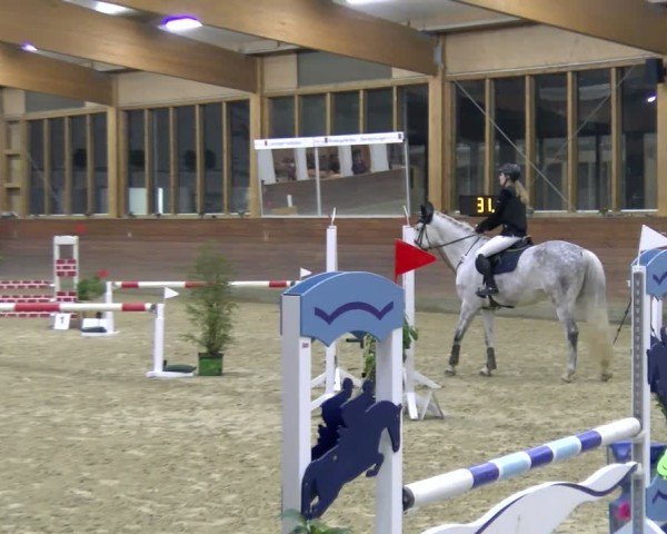 Reitturnier Coesfeld / Lette 2025