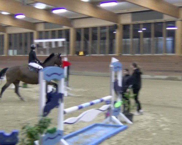 Reitturnier Coesfeld / Lette 2025