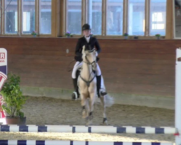 Reitturnier Coesfeld / Lette 2025