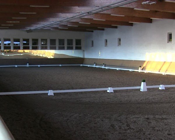 Reitturnier Freudenberg 2025
