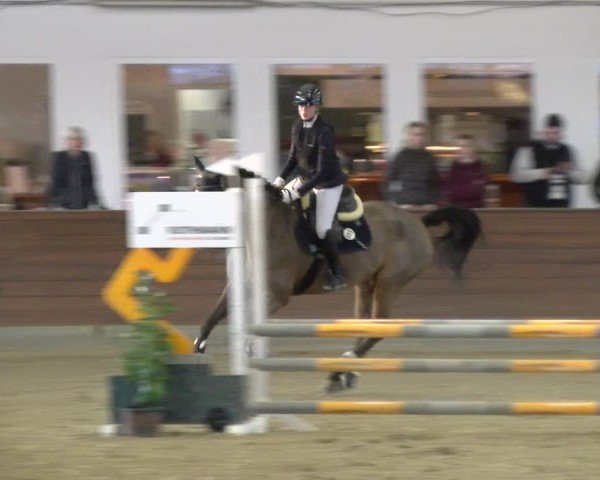 Reitturnier Coesfeld / Lette 2025