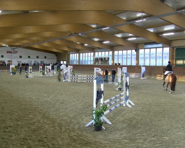 Reitturnier Coesfeld / Lette 2025