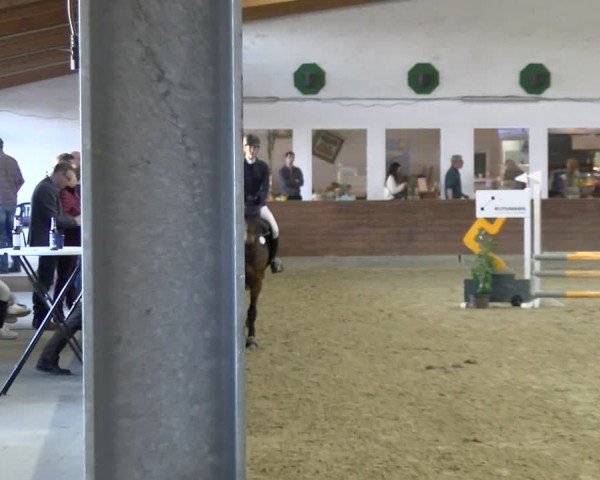 Reitturnier Coesfeld / Lette 2025